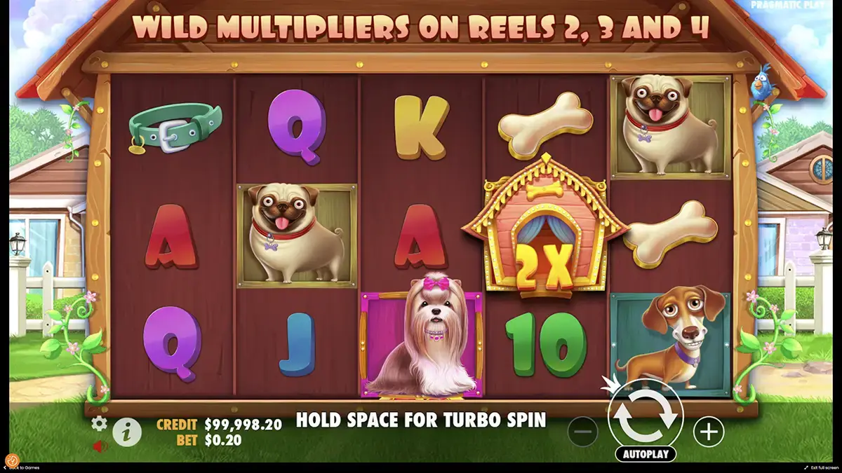 Бонусы в игре Dog House