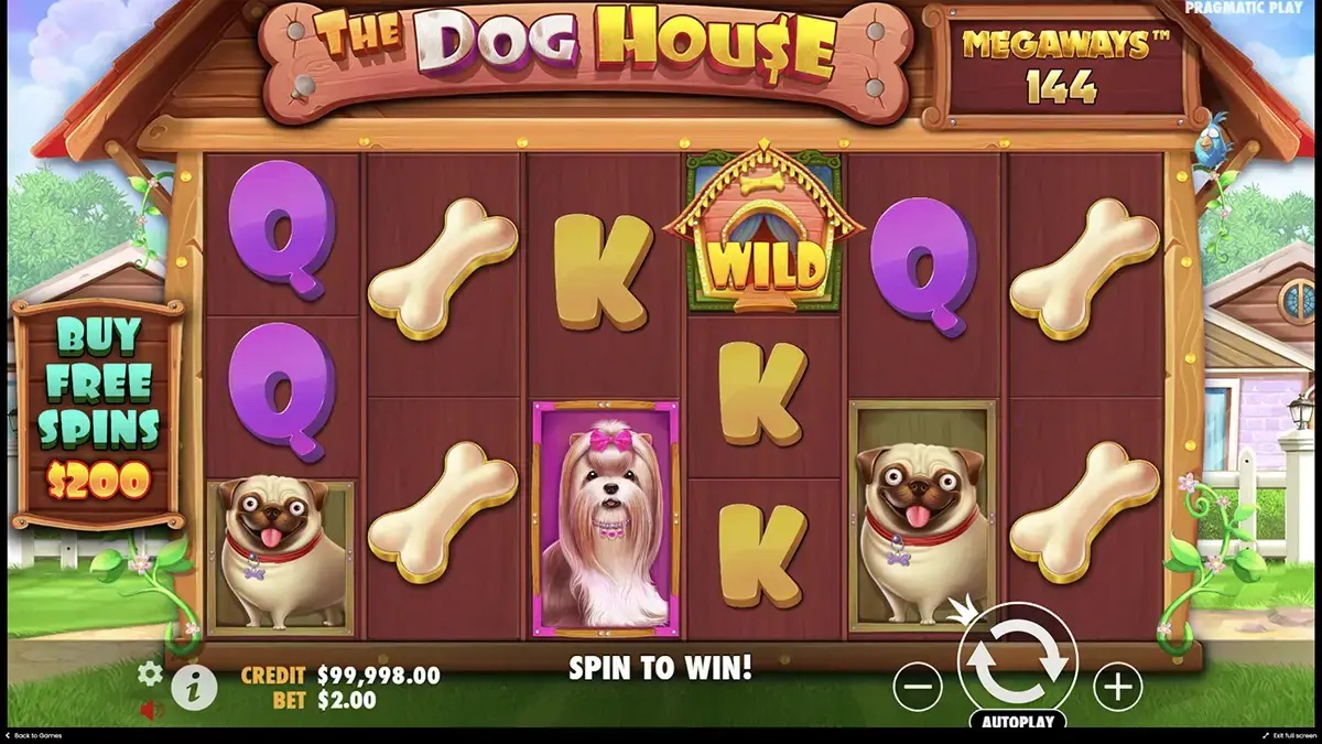 Играть без регистрации в The Dog House Megaways онлайн