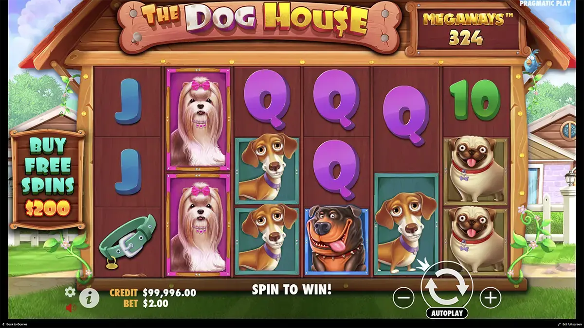 Как начать играть в демо The Dog House Megaways