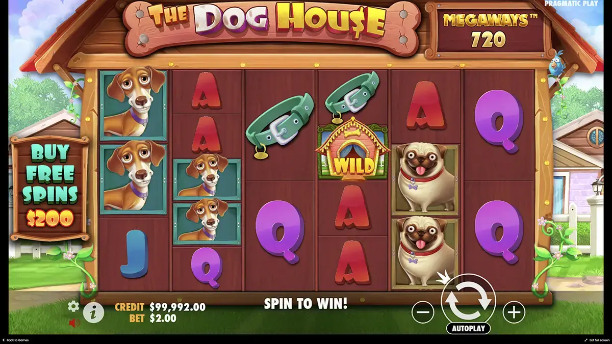 The Dog House Megaways шанс на выигрыш