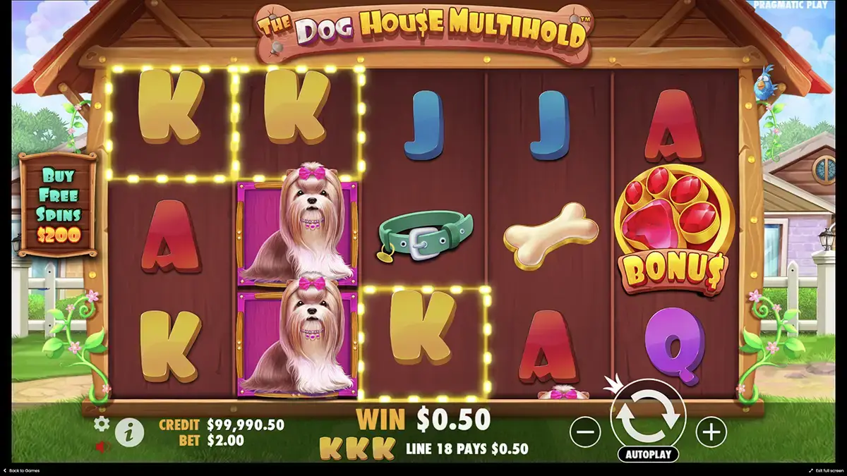 Игровой процесс The Dog House Multihold