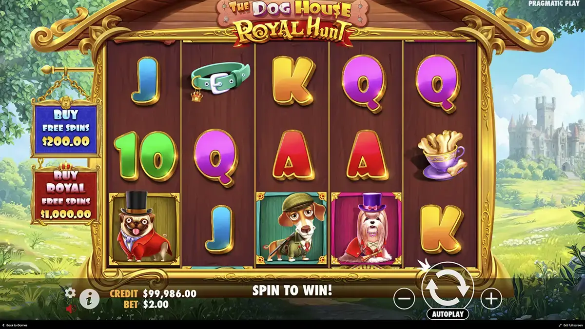 Плюсы игры в слот The Dog House – Royal Hunt